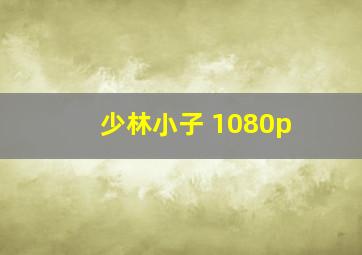 少林小子 1080p